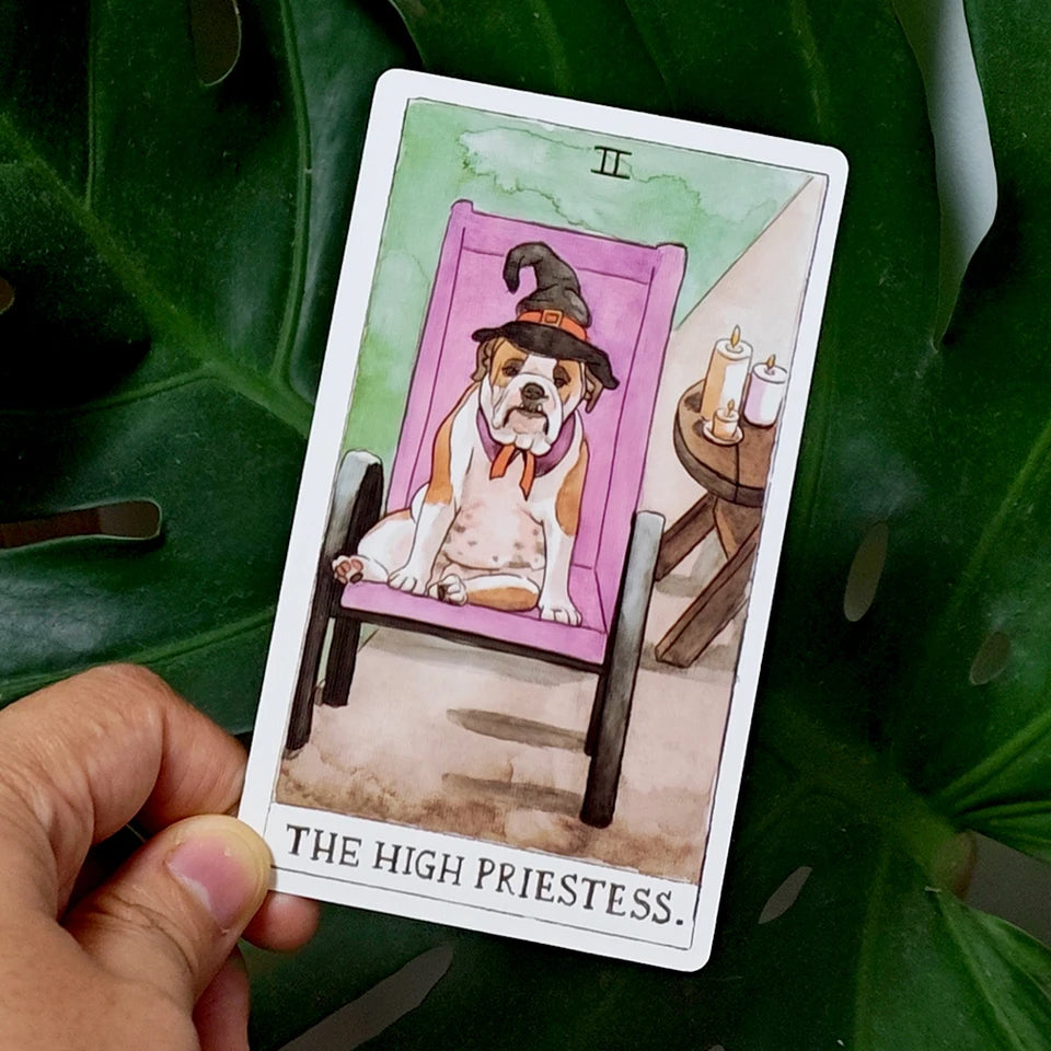 ✨ Dog Tarot Deck in Rigid Box - 78 Pcs 350GSM Double-Embossed Cards (12x7cm) Illustrated by Megan Lynn Kott for Dog Lovers and Tarot Enthusiasts